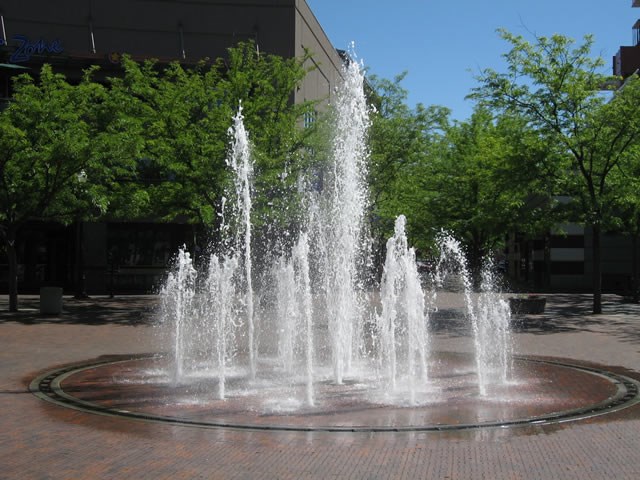 grove